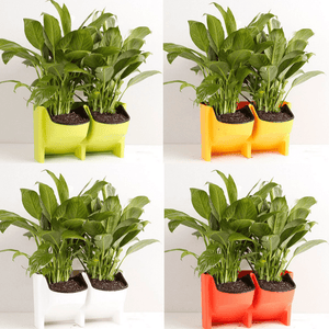 Stackable 2-Pockets Vertical Wall Planter