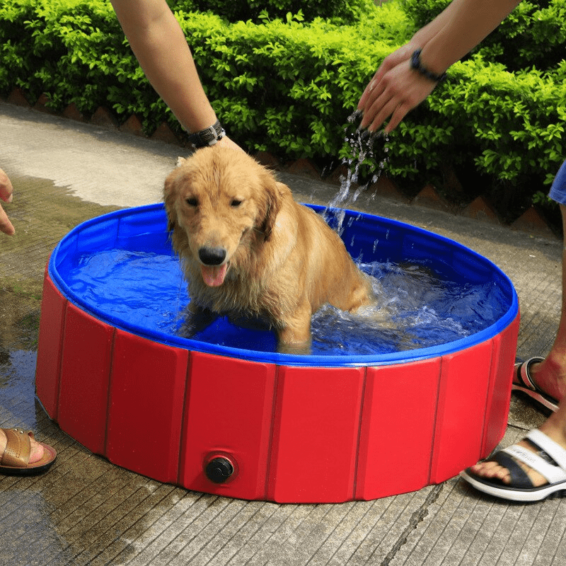 Foldable Summer Pet Pool
