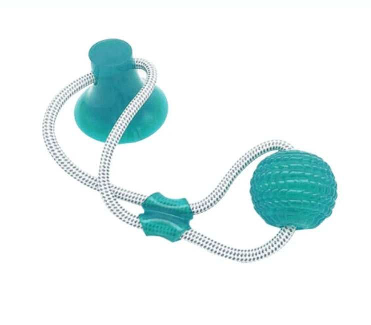 Suction Cup Pet Tug Toy